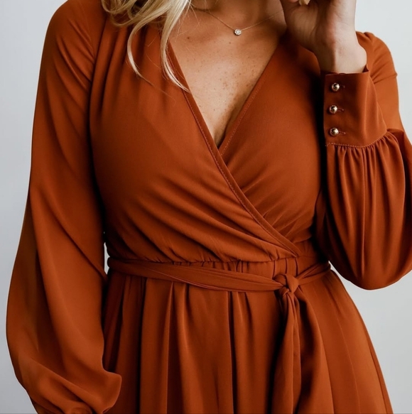 🚨NEW BALTIC BORN Lydia Maxi Dress In Nutmeg Brown Wedding Maternity Size Small - Picture 4 of 16